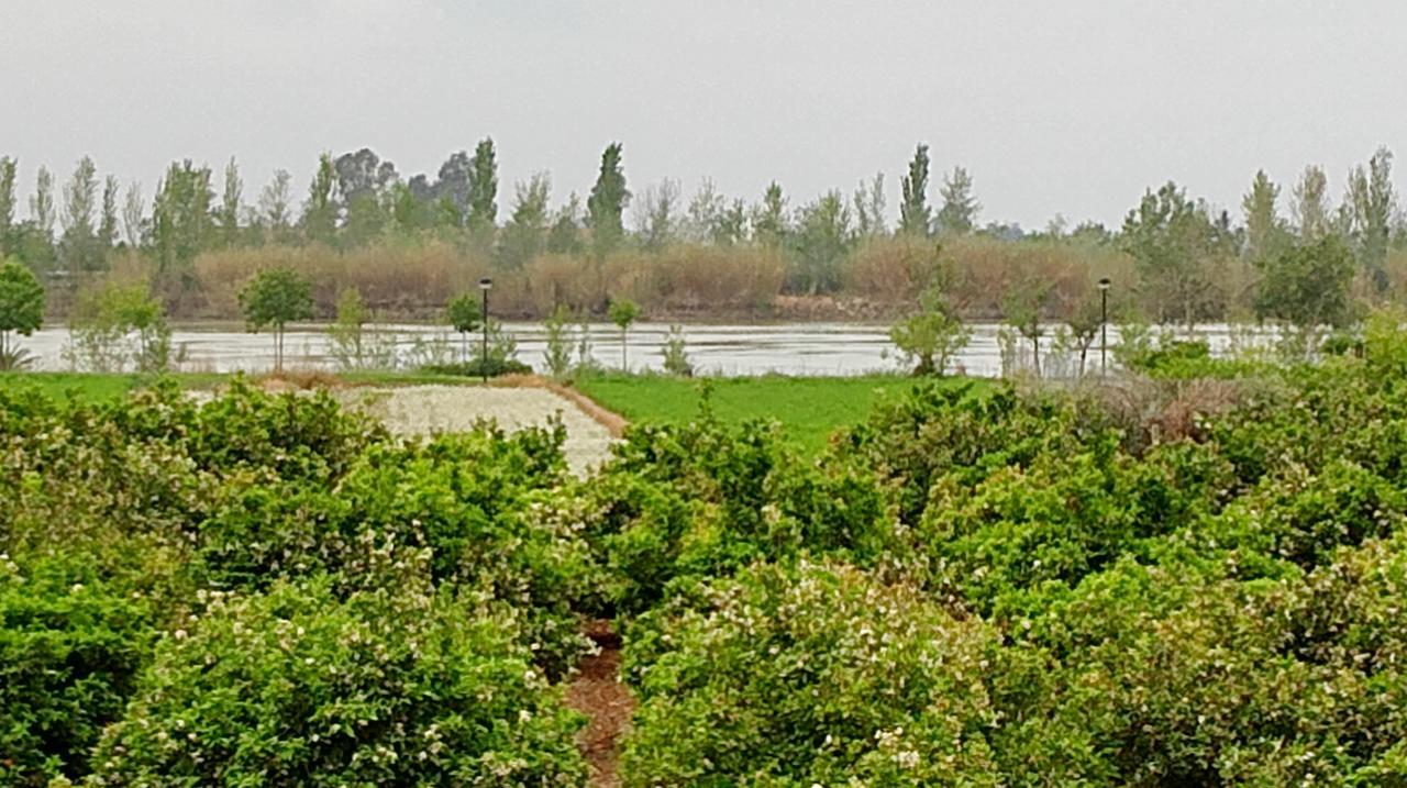 La Caseta Del Pitxo Deltebre Buitenkant foto